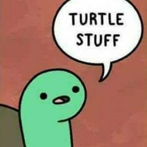 Meet your Posher, Lorena